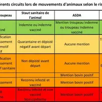 Les mouvements sont le principal facteur de risque de contamination des cheptels. Pour une bonne maîtrise, il est primordial de respecter la séparatio