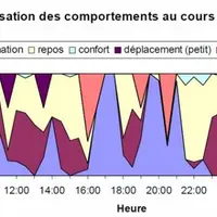 Les bovins sont des animaux grégaires et tous leurs comportements sont liés au troupeau. Ils mangent ensemble, boivent ensemble et dorment ensemble. C