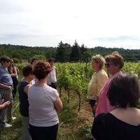 Installée depuis 9 ans avec son frère sur l’exploitation de ses parents, c’est un retour sur les terres familiales pour Danielle Moncla. Sur ses 35 ha