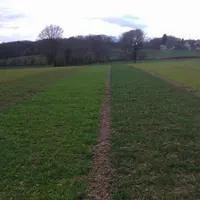 Effet du manque d’azote sur différentes variétés d’orge en sortie d’hiver.