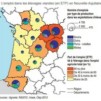 L’emploi dans les élevages viande en équivalent temps plein en Nouvelle Aquitaine.