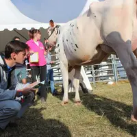 Le Trophée des Massifs rassemble une centaine d’étudiants de la région Auvergne-Rhône-Alpes.