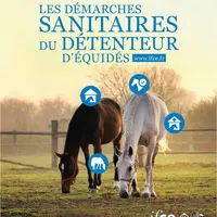 Ce guide a pour objectif de présenter les démarches sanitaires que doit effectuer tout détenteur d’équidés. Il est consultable à l’adresse suivante :