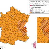 C’est le premier cas de sérotype 4 détecté en France continentale (en Corse, on compte actuellement 193 foyers de sérotype 4). Le sérotype 8 est en re