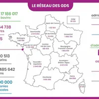 Le réseau des GDS s’articule autour de 3 structures, généralement associatives, agissant de manière complémentaire. Les GDS départementaux ou interdép