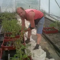 Filip Claes est maraîcher en agriculture biologique à Chambonchard.