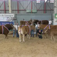 Les champions du concours 2014 qui avait eu lieu au Parc des expositions de Limoges.