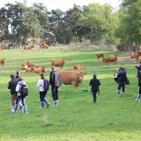 Des visites seront organisés dans deux élevagesdes environs.