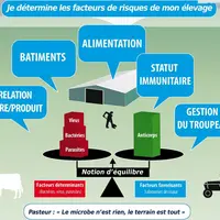 L’état sanitaire d’un troupeau repose sur l’équilibre entre les capacités de défense des animaux et la pression microbienne. Un problème sanitaire dan