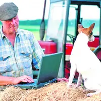 Ruralitic ou comment faire du numérique un levier de développement rural.