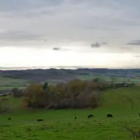 L’herbe, l’ADN de l’élevage du Massif central.
