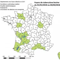 On constate une concentration des cas sur les départements des Landes et des Pyrénées-Atlantiques, et la Dordogne. Au nord de la Haute-Vienne, l’ident