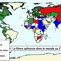 Vue l’évolution de la fièvre aphteuse dans le monde et dans certains pays méditerranéens, notamment l’épisode nord-africain qui n’apparaît que partiel
