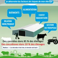Les coccidies sont présentes dans 85 % des élevages avec des coccidioses dans seulement 20 %, d’où l’intérêt d’identifier les facteurs de risques prés