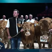 Mathieu Thérond est éleveur de vaches Limousines dans le Cantal. Il a été choisi pour figurer sur l'affiche 2023 du Sommet de l'Elevage en compagnie d