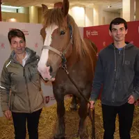 La mascotte 2019 du Salon est Divine, jument de Trait Bretonne, ici avec son éleveur, le landais Joffrey Chachour.