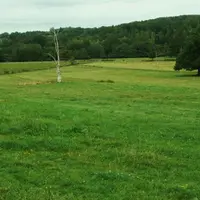 Vincent Cailliez, climatologue à la CDA23, sera présent à la Fête de la Forêt à Royère-de-Vassivière, le 7 juillet à 16h30. Il participera à un colloq