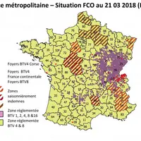 En France continentale, 1 852 foyers de BTV8 ont été enregistrés depuis le 24/05/2017 (début de la 3e saison de FCO), dont 439 depuis le 01/01/2018, l