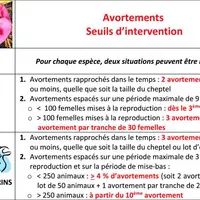 L’apparition d’avortements est source d’inquiétude et pénalise la productivité des élevages. Si la cause reste parfois inconnue, les outils de diagnos