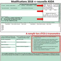 Depuis le 01/07/2018, les ICA à transmettre ont évolué entraînant une modification des ASDA. Lorsqu’il n’y a pas d’ICA à signaler, avec la nouvelle AS