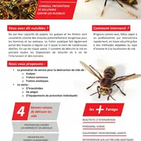 Farago Creuse a formé plusieurs de ses techniciens aux méthodes de lutte contre frelons asiatiques, communs et guêpes. Plus de cent nids ont été détru