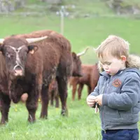 Les Rencontres Made in viande ambitionnent de toucher un public familial.