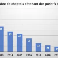 En 10 ans, le nombre de cheptels détenant des animaux positifs a baissé de plus de 90 % et il ne reste plus que 8 cheptels détenant plusieurs animaux