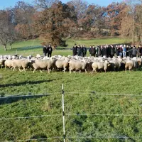 La délégation a pu visiter les différents ateliers développés sur le site du Mourier
avant d’inaugurer la dernière installation : une salle de tonte.
