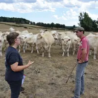 En Saône-et-Loire, plusieurs éleveurs expérimentent le report d’herbe sur pied pour s’adapter à la sécheresse. Ici chez Pierre-Etienne Fuet à Ciry-le-
