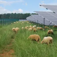 Le couplage de l’activité de production d’énergie renouvelable et de la production agricole doit être réfléchi le plus tôt possible.