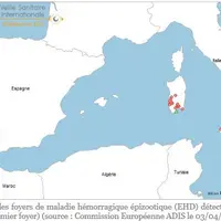 Situation de la dermatose nodulaire contagieuse des bovins ou la maladie hémorragique épizootique du cerf au 3 avril 2023.