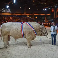 Gentleman du Gaec Verger et de Nicolas Friaud a remporté le Prix de rappel de championnat.