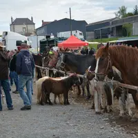 Tous les gabarits étaient représentés lors de cette foire de printemps.