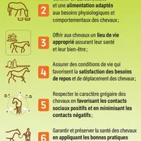 La visite sanitaire 2022-2023 est consacrée au bien-être animal. Pour 2022, elle doit être faite pour les élevages avec des numéros pairs, contactez v