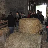 Les collégiens ont visité par petits groupes les différents ateliers proposés par le lycée agricole d’Ahun.