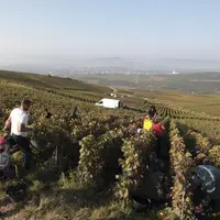 La FNSEA a organisé, le 15 février, une journée de réflexion à Paris sur le thème de la « Politique de l’emploi en agriculture ». Au-delà des aspects