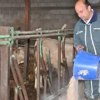 Nicolas Perret est agriculteur en polyculture-élevage à Brugeas dans l'Allier.