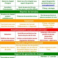 La prévention et la lutte vis à vis de la paratuberculose demandent le strict respect d'une méthodologie au sein de votre élevage. Retrouvez le dossie