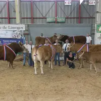 Les champions 2014 choisis lors du concours national limousin de Limoges.