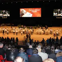 Spectacle de haut niveau pour le charolais.