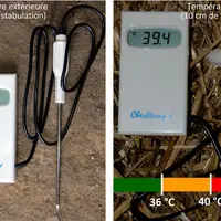 La litière accélère la dynamique de contamination lorsque la température de la litière à 10 cm de profondeur excède 36 °C (thermomètre à sonde disponi