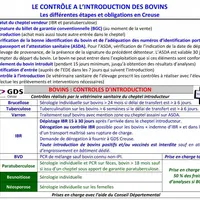 Parmi les différentes étapes de l’introduction, 2 sont essentielles d’un point de vue sanitaire : l’isolement de tout animal introduit pendant 15 jour
