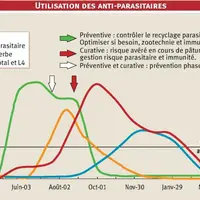 L’automne représente une étape incontournable pour la gestion des strongles. C’est un rendez-vous qui a pour but, d’une part, d’adapter la stratégie d