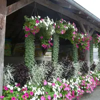 Lavoir municipal de Chéniers, commune labellisée 1 fleur.