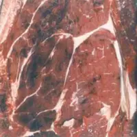Le tiquetage se manifeste par la présence de multiples taches de sang dans les muscles et les abats rouges. Ces défauts rendent la viande non commerci