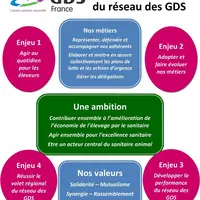 La journée nationale « Projet stratégique du réseau des GDS » du 11 décembre a marqué le lancement du projet stratégique du réseau des GDS. Les travau