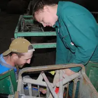 Avec le CS ovin, les stagiaires et les apprentis apprennent en travaillant
