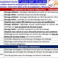 La première page du DAP récapitule les analyses à effectuer, elle est à signer par vous-même et votre vétérinaire. Sur les sangs de prophylaxie, au-de