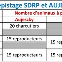 Le dépistage Aujeszky reste maintenu dans les élevages de porcs plein-air, chez les sélectionneurs multiplicateurs et dans les élevages de sangliers.