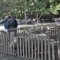 Le parc de l'abbaye de Prébenoit était un lieu idéal pour les animaux exposé durant cette chaude journée.